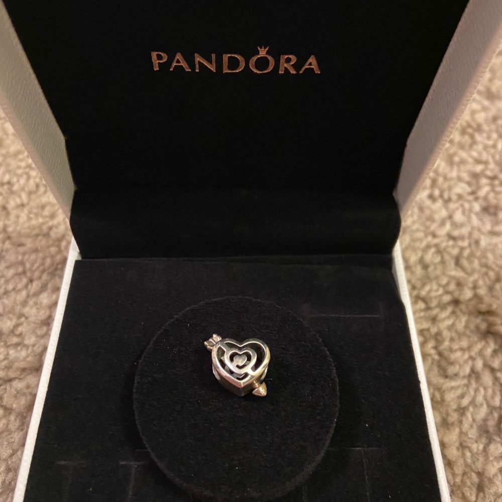 Assorted Pandora Charms